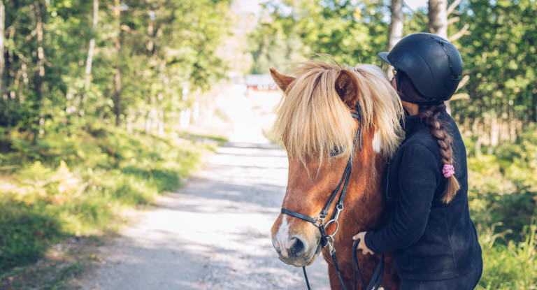 Kvinna kramar sin islandshäst.