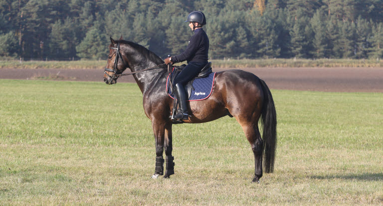 Ulla Håkansson rider i naturen