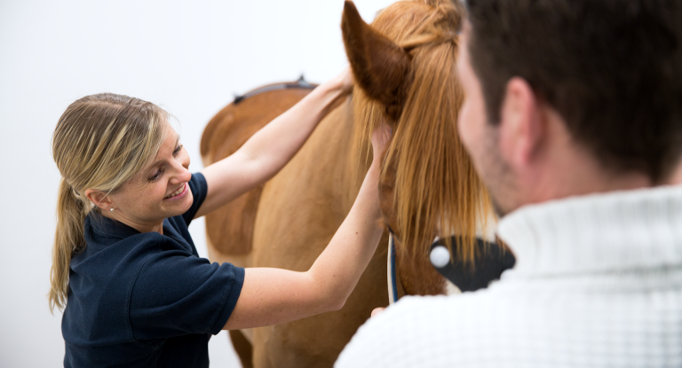 Forskaren och veterinären Marie Rhodin undersöker en häst.