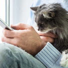 Kvinna med katt i knät som kontaktar Agrias sjukvårdrådgivning via sin mobil.