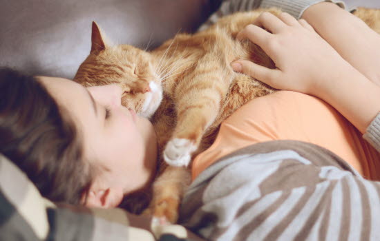ta hand om katt