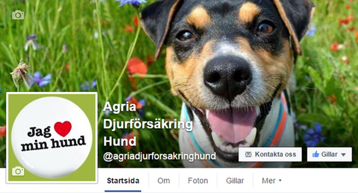 Toppbild Agria Djurförsäkring hunds Facebook.