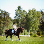 ryttare rider på äng