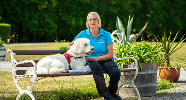 Moltas arbetar som certifierad terapihund och är en labradoodle på 9 år. 
