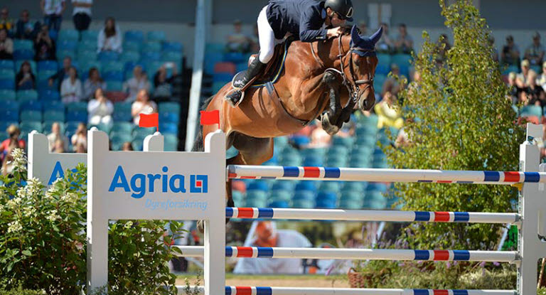 Tävlingshäst hoppar över Agria-hinder.