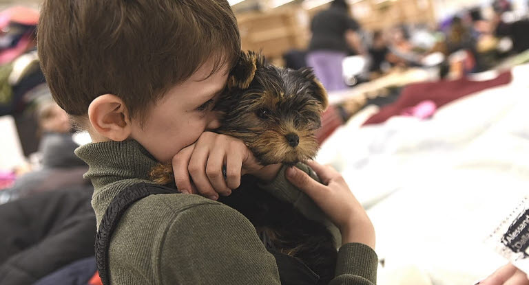 Pojke som kramar om sin hund i Ukraina.