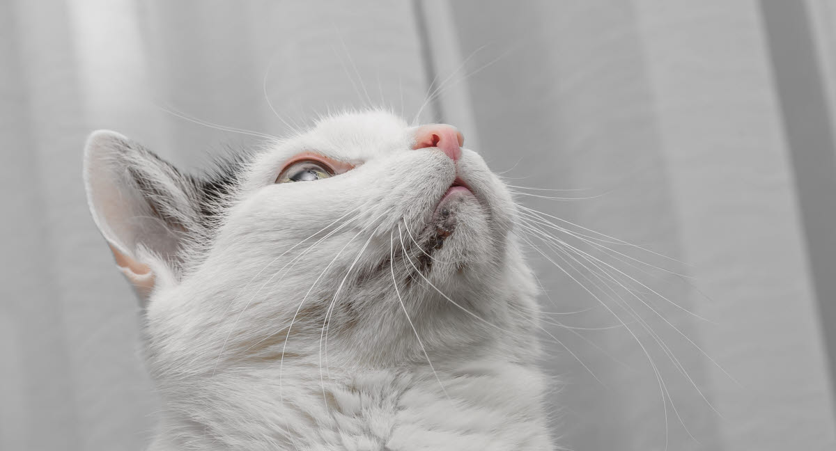 Yashirin kamerada sorilgan jinsiy aloqa Onam buxgalteriya seks porno tomosha