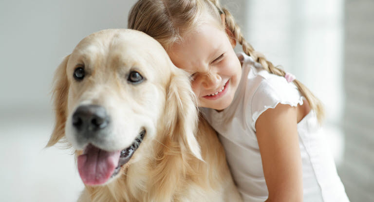 Köpa hund tänk på att teckna djurförsäkring