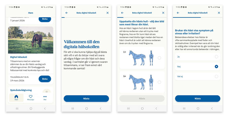 Skärmdumpar från formuläret i appen.