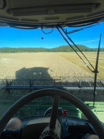 Bild tagen från förarhytten i skördetröska.