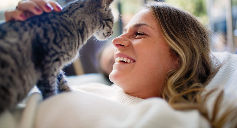 Nya djurskyddsregler för dig med katt