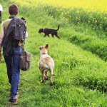 Våren är en härlig tid för hunden och hundägaren, här får du tips för en härlig vår med din hund.