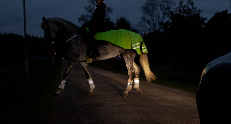 Bilstrålkastare lyser på häst med reflextäcke.
