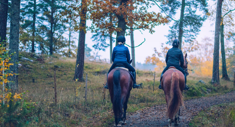 Två hästar med ryttare på uteritt.