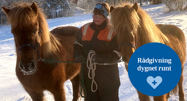 Kvinna som håller i två islandshästar.