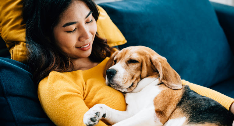 Kvinna som gosar med sin hund i soffan, ett exempel på trygghet och närhet i hundens beteende.