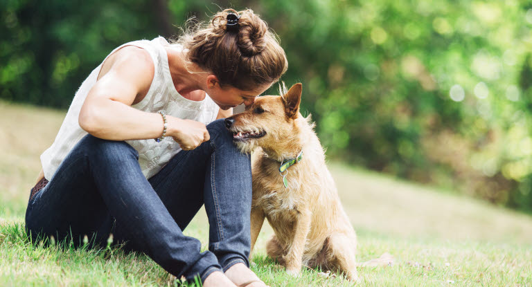 Att ha en hund är härligt. Få tips om du vill köpa hund.