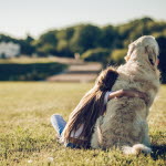 En hund med kennelhosta kan behöva extra omvårdnad.