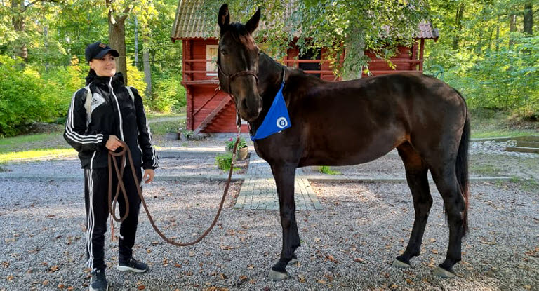 Hästen Diva som deltog i Agria Hundpromenad 2021.
