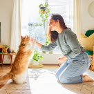 Ge din katt kattmynta genom att spraya, smörja eller placera kattmynta på exempelvis på kattens leksak .